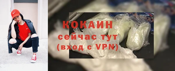 молекула духа Алексеевка