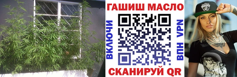 Дистиллят ТГК THC oil  цены наркотик  Туринск 